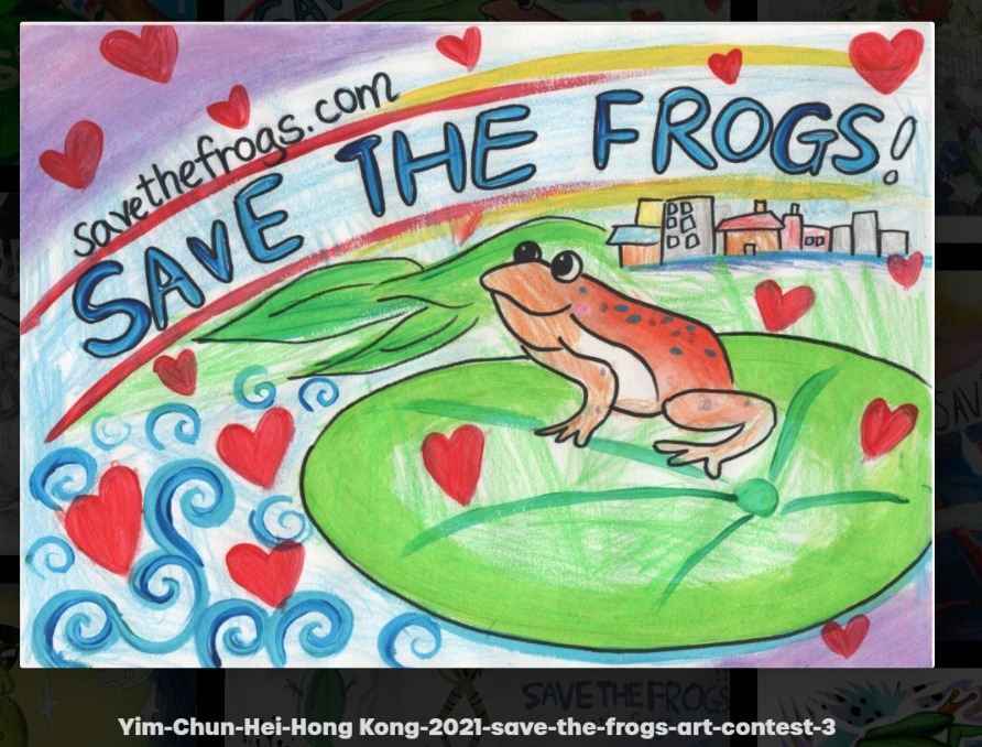 Save the Frogs! Art Contest